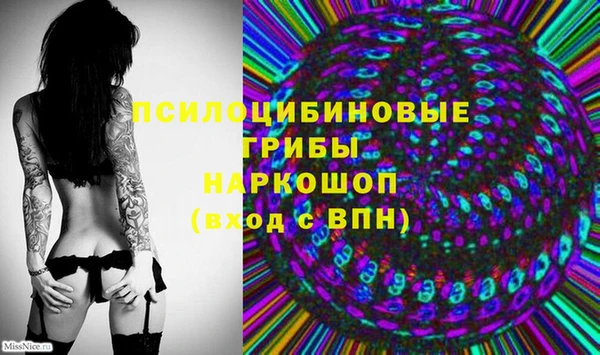 гашик Алзамай