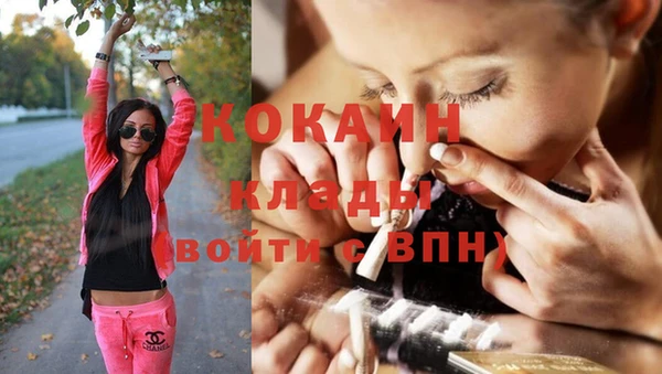 гашик Алзамай