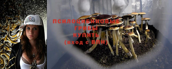 скорость Алексеевка